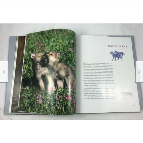 WOLF Legend Enemy Icon Hardcover Coffee Table Book R. Grambo Daniel Cox 2005 - Picture 5 of 11